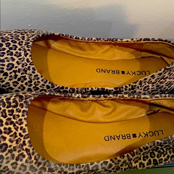 Leopard flats in a size 6 - Picture 1 of 4